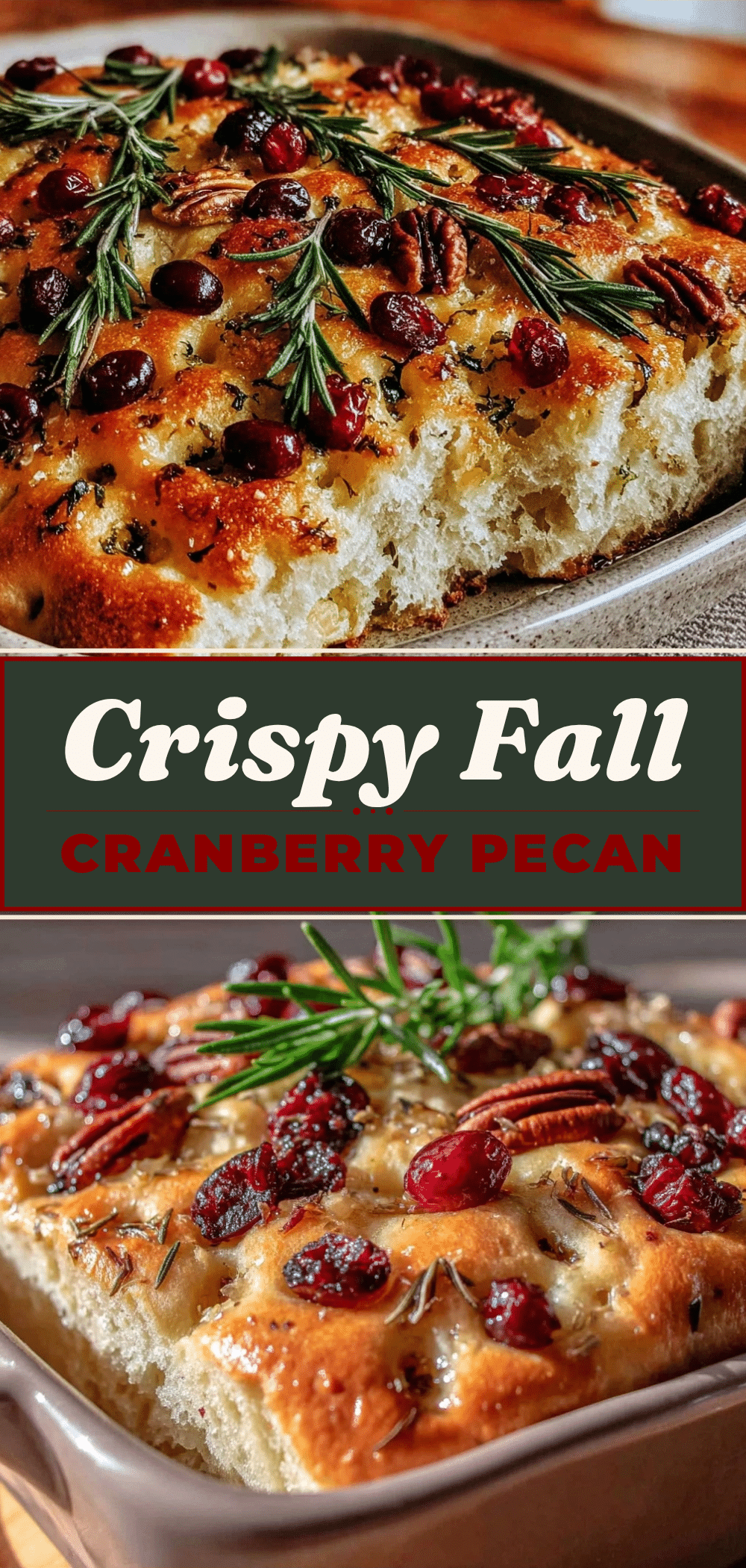 Easy Fall Cranberry Pecan Sourdough Focaccia with Fresh Rosemary 5 sourdough focaccia recipe